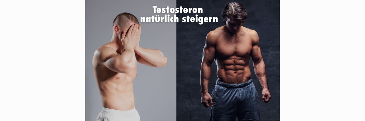 Testosteron steigern – Natürlich, gezielt und wirksam für Männer - Testosteron steigern: Natürlich &amp; effektiv für Männer