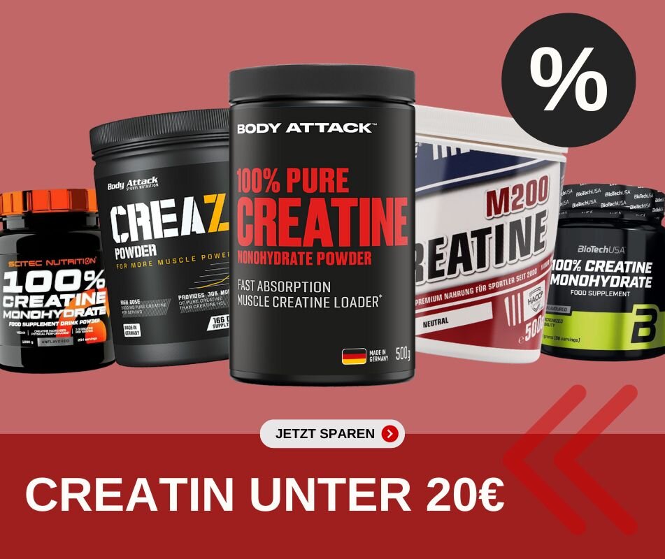 Creatin Monohydrate günstig kaufen bei Sportster Fitnessshop