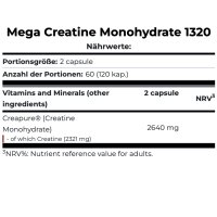 Scitec Nutrition Mega Creatine Monohydrate 1320