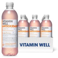 VITAMIN WELL ANTIOXIDANT Pfirsich 500ml