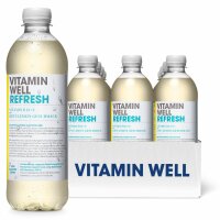 VITAMIN WELL REFRESH Kiwi-Lemon 500ml 12x500ml
