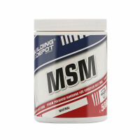 Bodybuilding Depot MSM Pulver