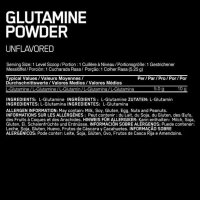 Optimum Nutrition Glutamine Powder