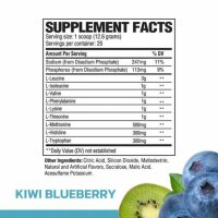 RAW Nutrition RAW EAA Kiwi-Blueberry