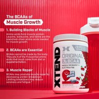 XTEND Original BCAA