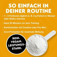 Inlead L-Citrullin Malat, 500g