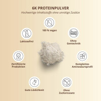 Nutri-Plus Vegan 6K Proteinpulver 1000g Vanilla-Ice Cream